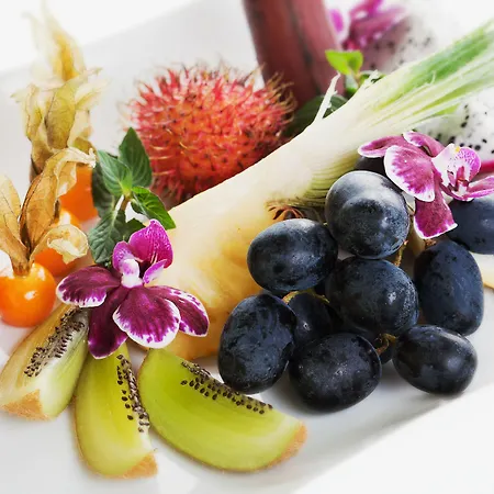 콩그레스 4* 다보스