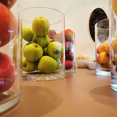 호텔 콩그레스 4*